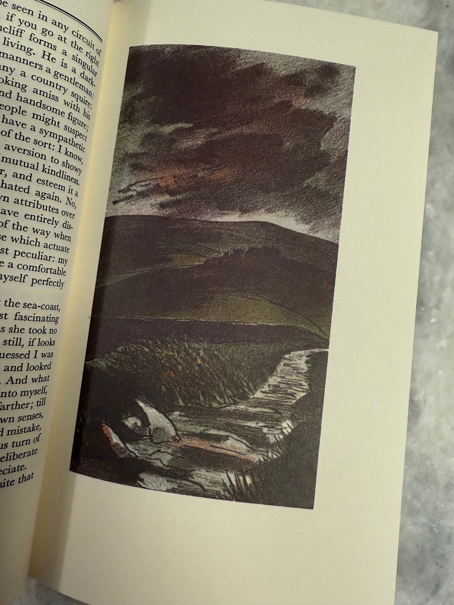 “Wuthering Heights” by Emily Brontë
