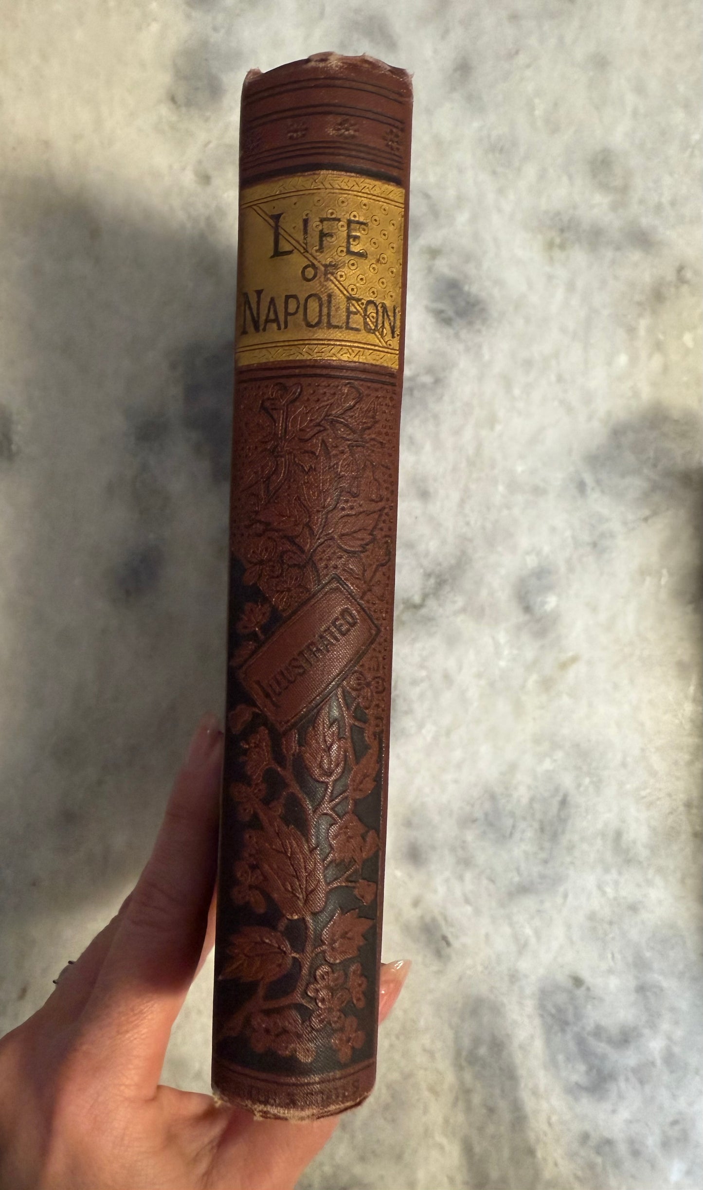 Life and Campaigns of Napoleon Bonaparte- Alta Edition