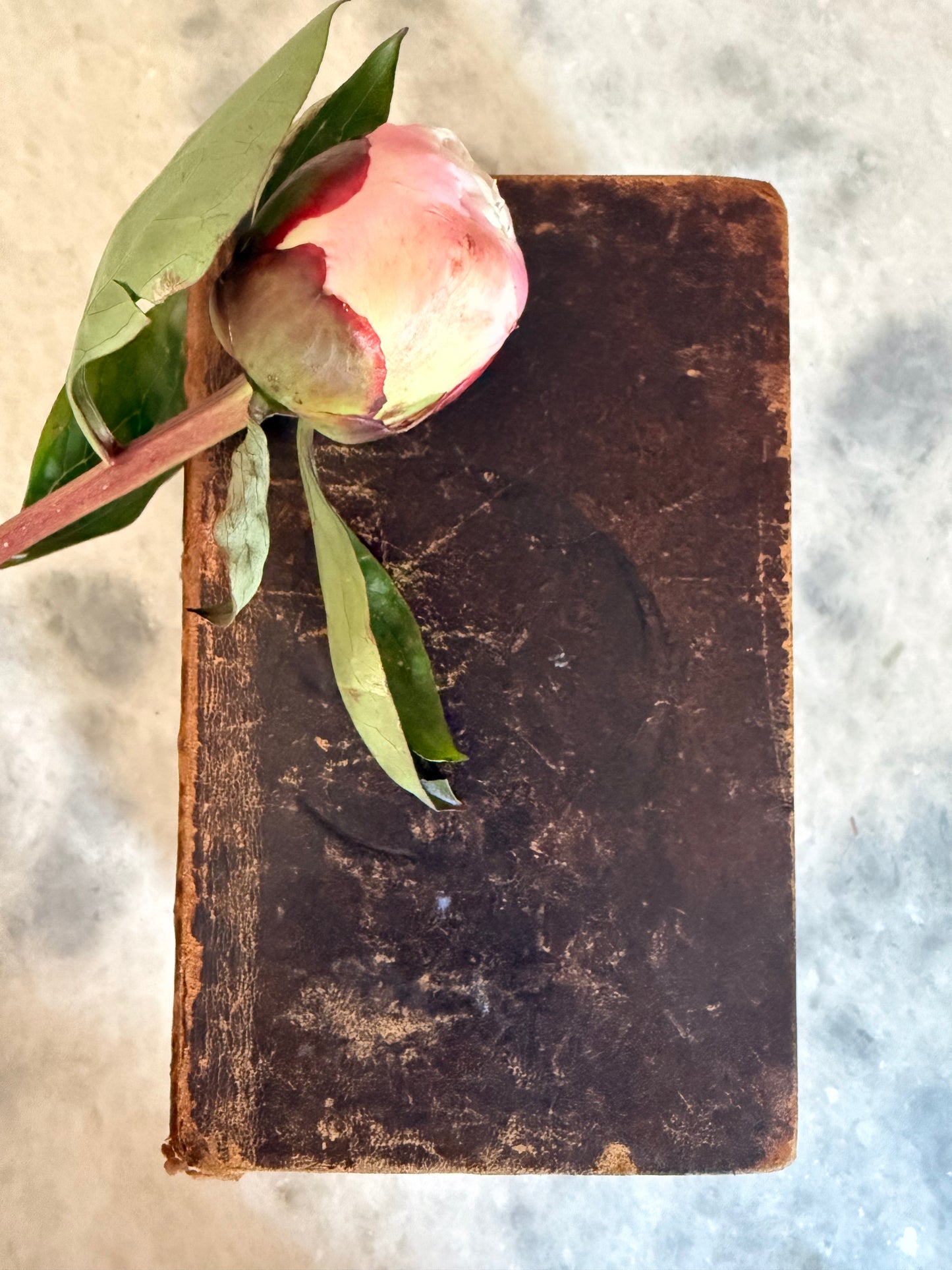 Collectible-1834 Coit’s Arrangement