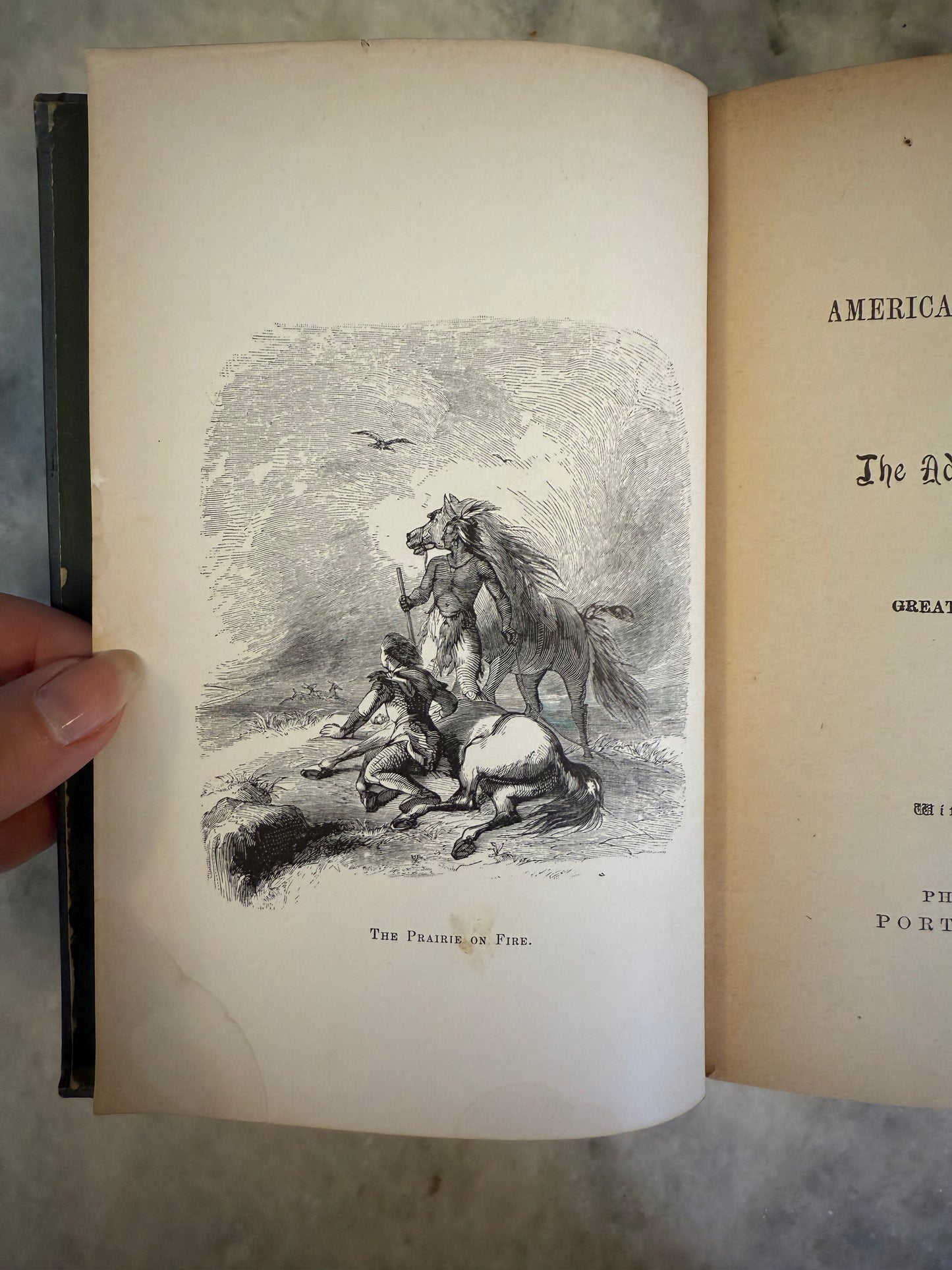 American Family Robinson Alta Edition