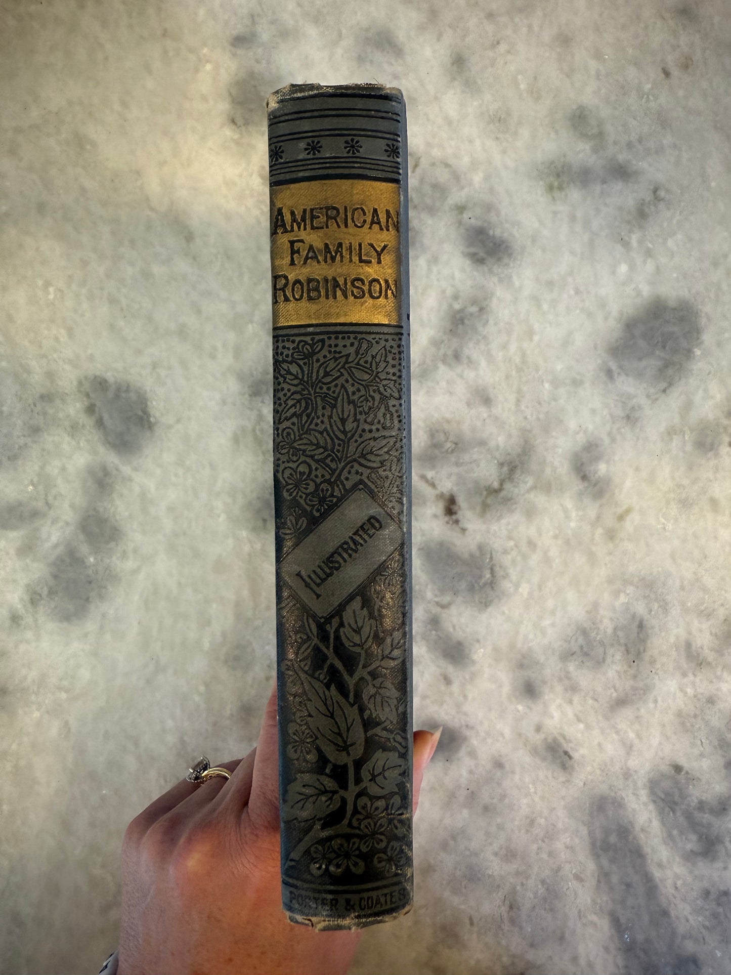 American Family Robinson Alta Edition