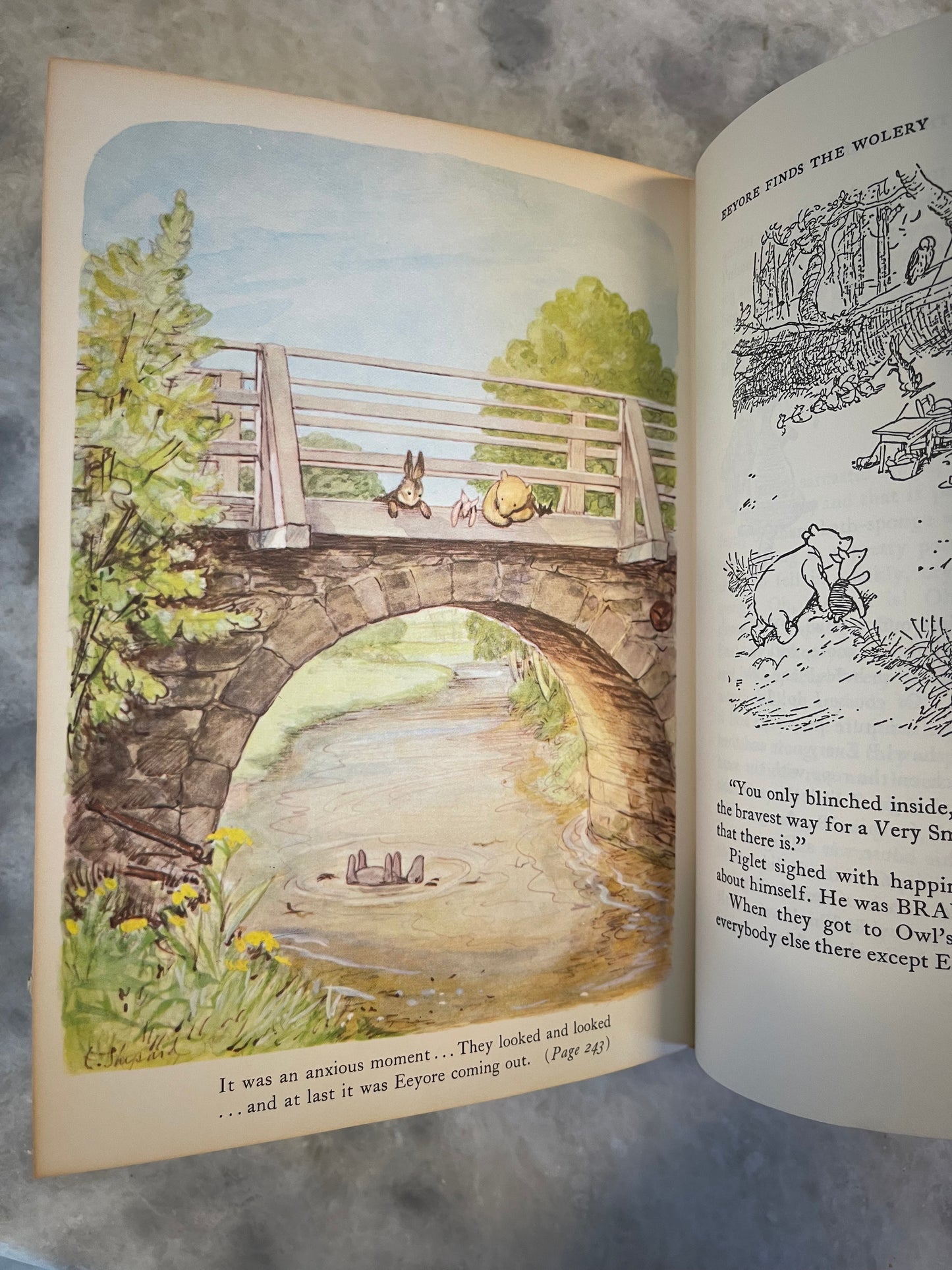 Rare Collectable 1956 Edition of The World of Pooh by A.A. Milne with color illustrations