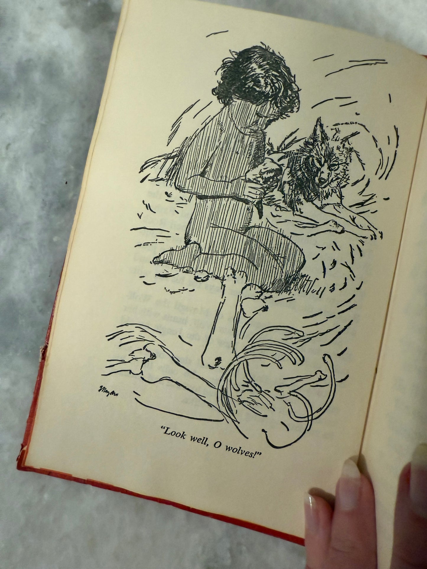 Collectible- Companion Library(1963)   “The Wizard of Oz” by L. Frank Baum“ & “The Jungle Book” by Rudyard Kipling