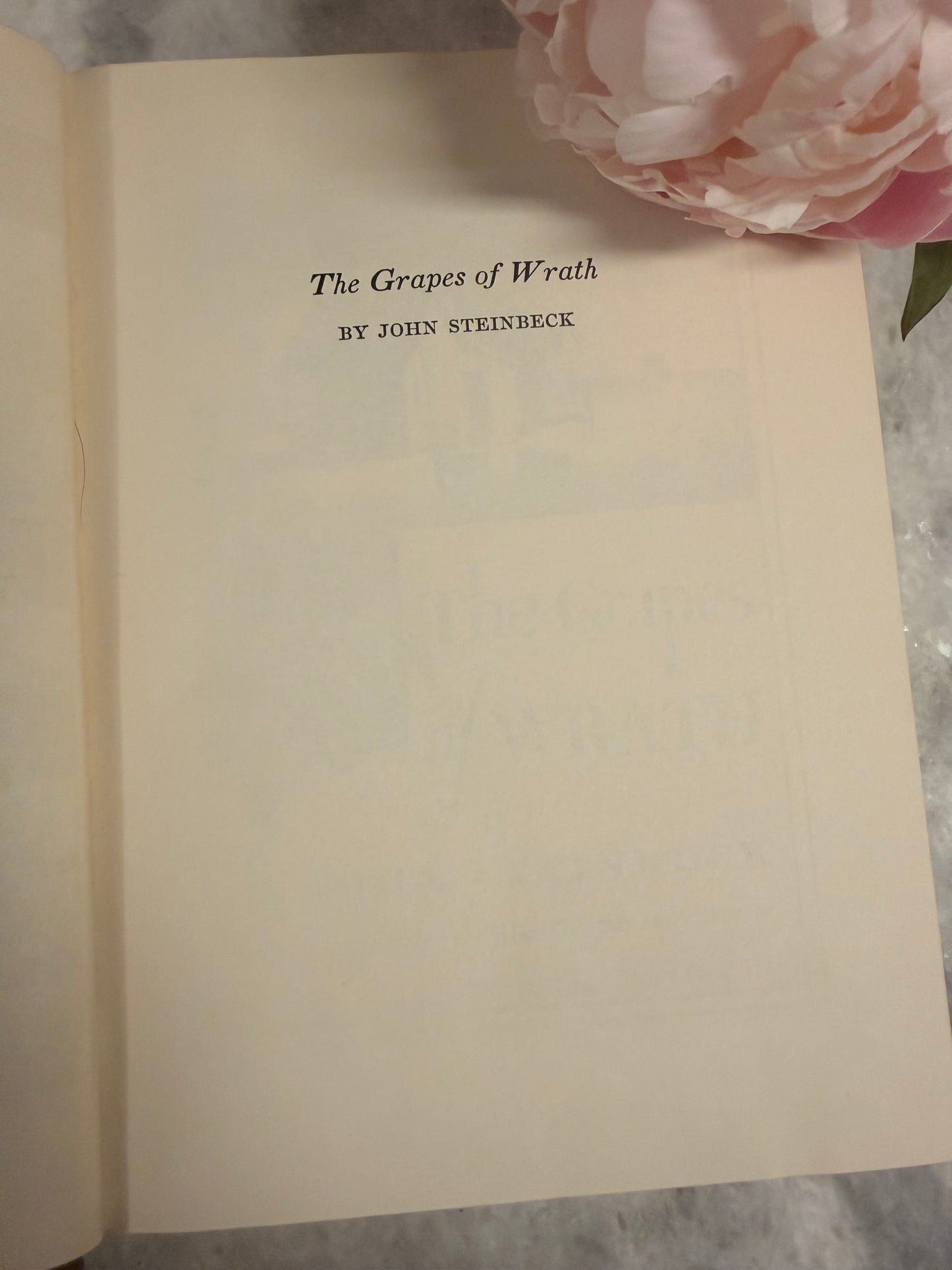 Collectible- Illustrated Grapes of Wrath by Steinbeck