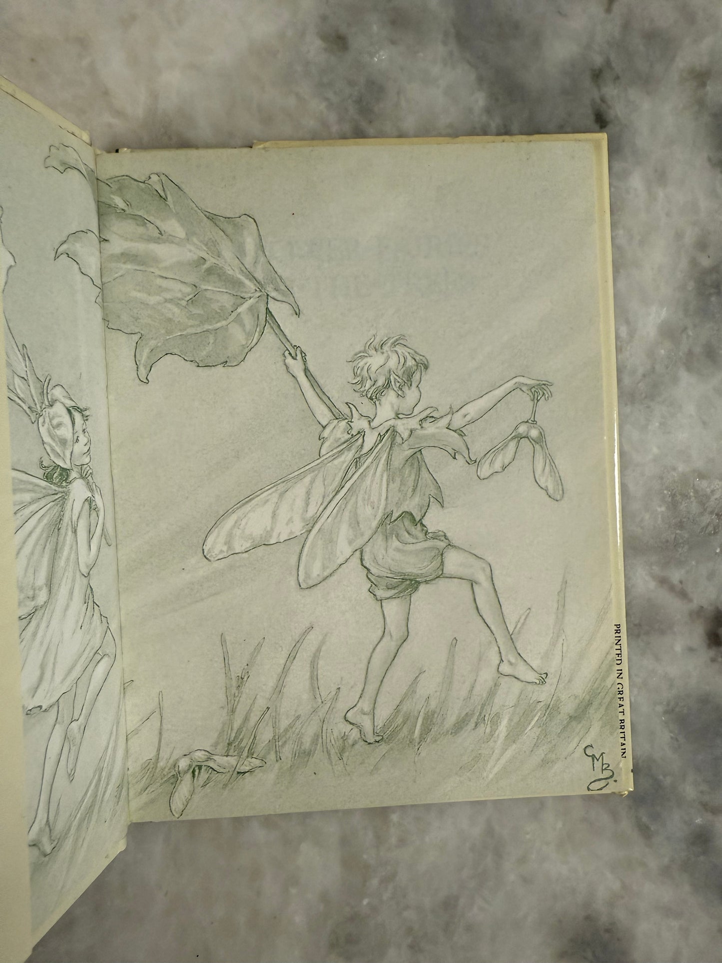 Collectible- Flower Fairies of The Trees by Cicely Mary Barker (1990)