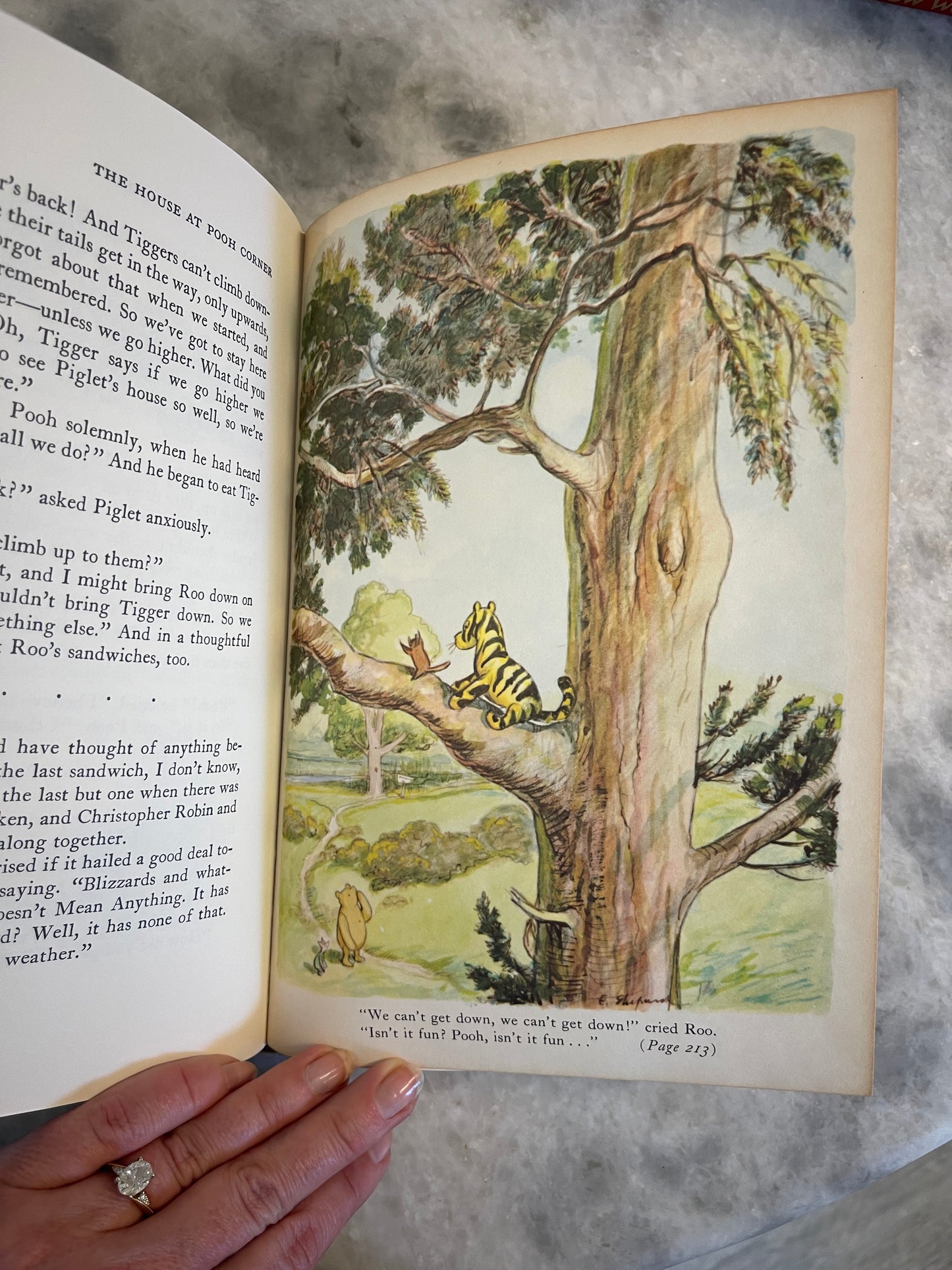 Rare Collectable 1956 Edition of The World of Pooh by A.A. Milne with color illustrations