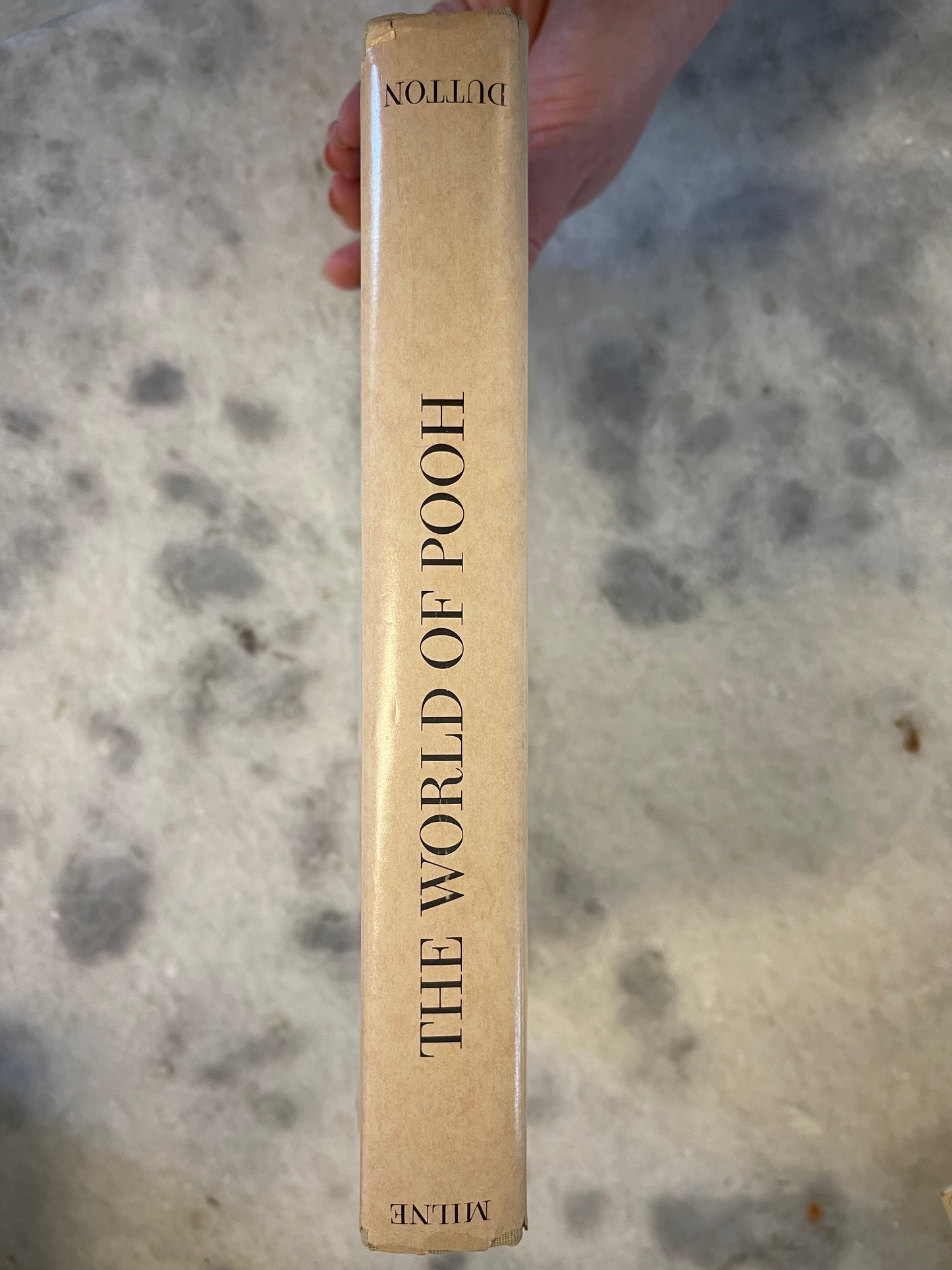 Rare Collectable 1956 Edition of The World of Pooh by A.A. Milne with color illustrations
