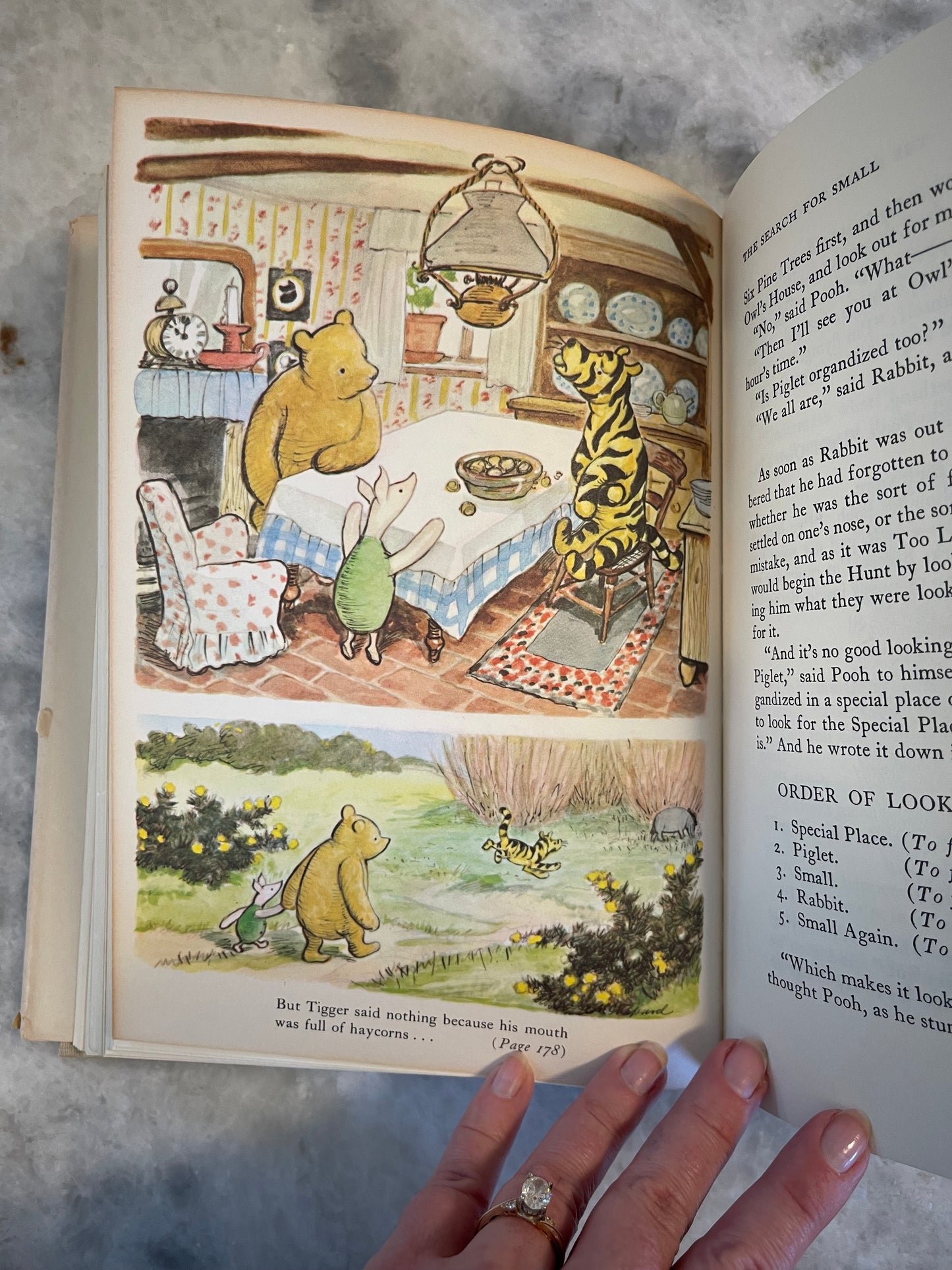 Rare Collectable 1956 Edition of The World of Pooh by A.A. Milne with color illustrations