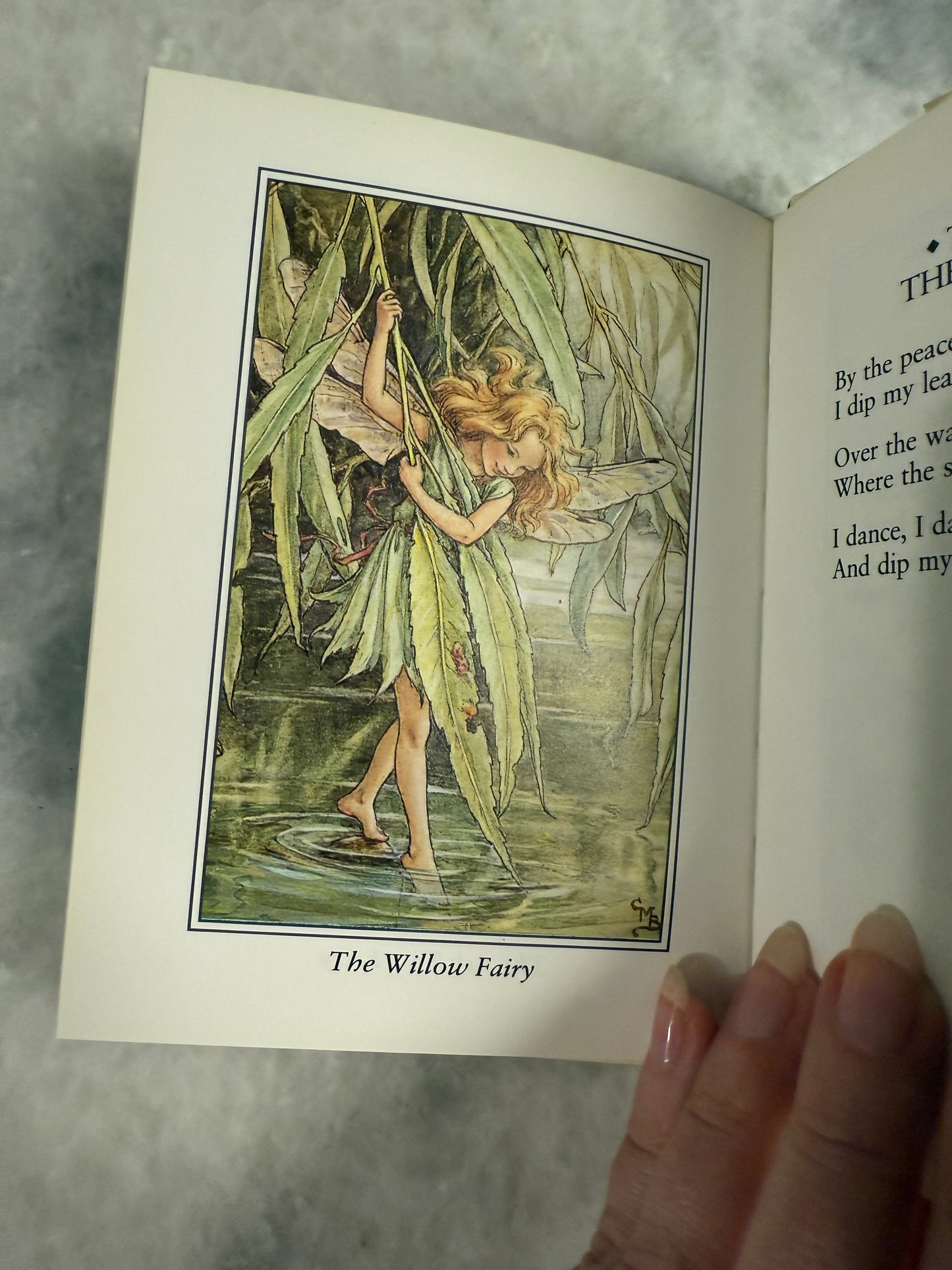 Collectible- Flower Fairies of The Trees by Cicely Mary Barker (1990)