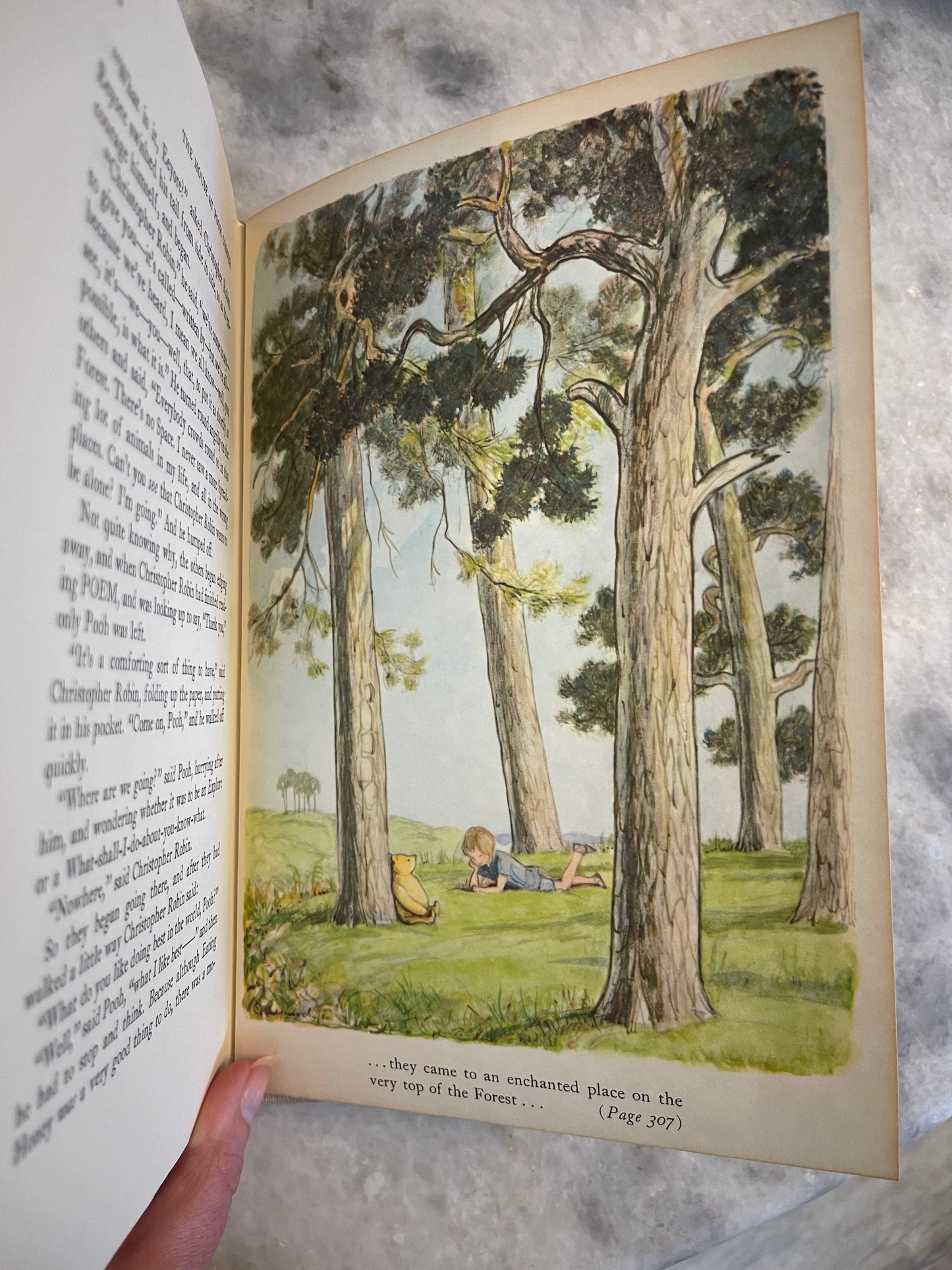 Rare Collectable 1956 Edition of The World of Pooh by A.A. Milne with color illustrations