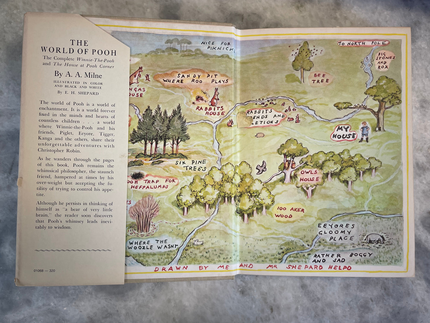 Rare Collectable 1956 Edition of The World of Pooh by A.A. Milne with color illustrations