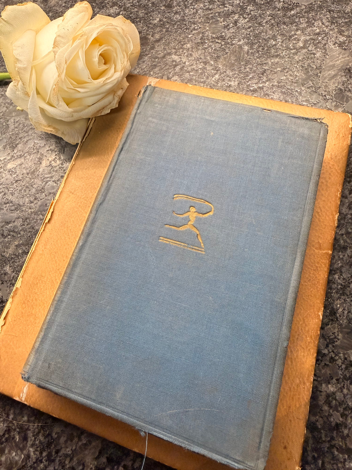 Dracula by Bram Stoker | Vintage 1930s Modern Library