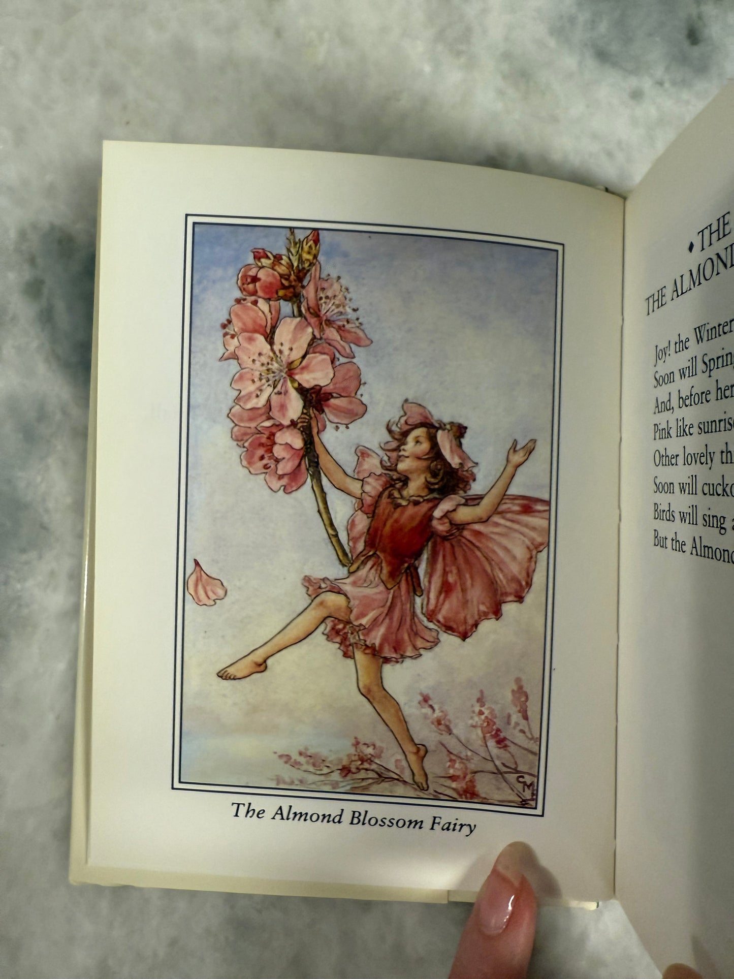 Collectible- Flower Fairies of The Trees by Cicely Mary Barker (1990)