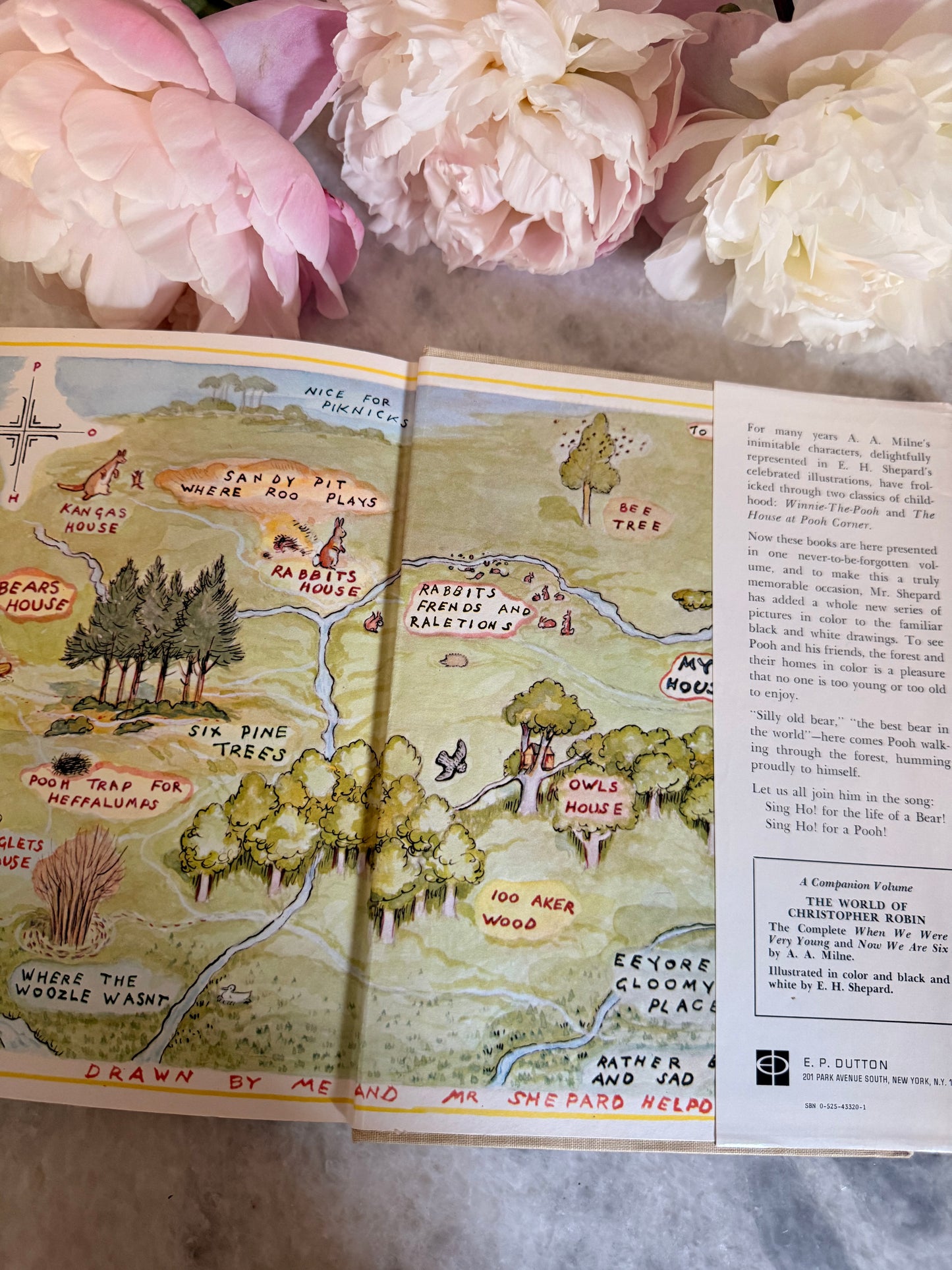 Rare Collectible- 1956 edition of The World of Pooh by A.A. Milne with color illustrations