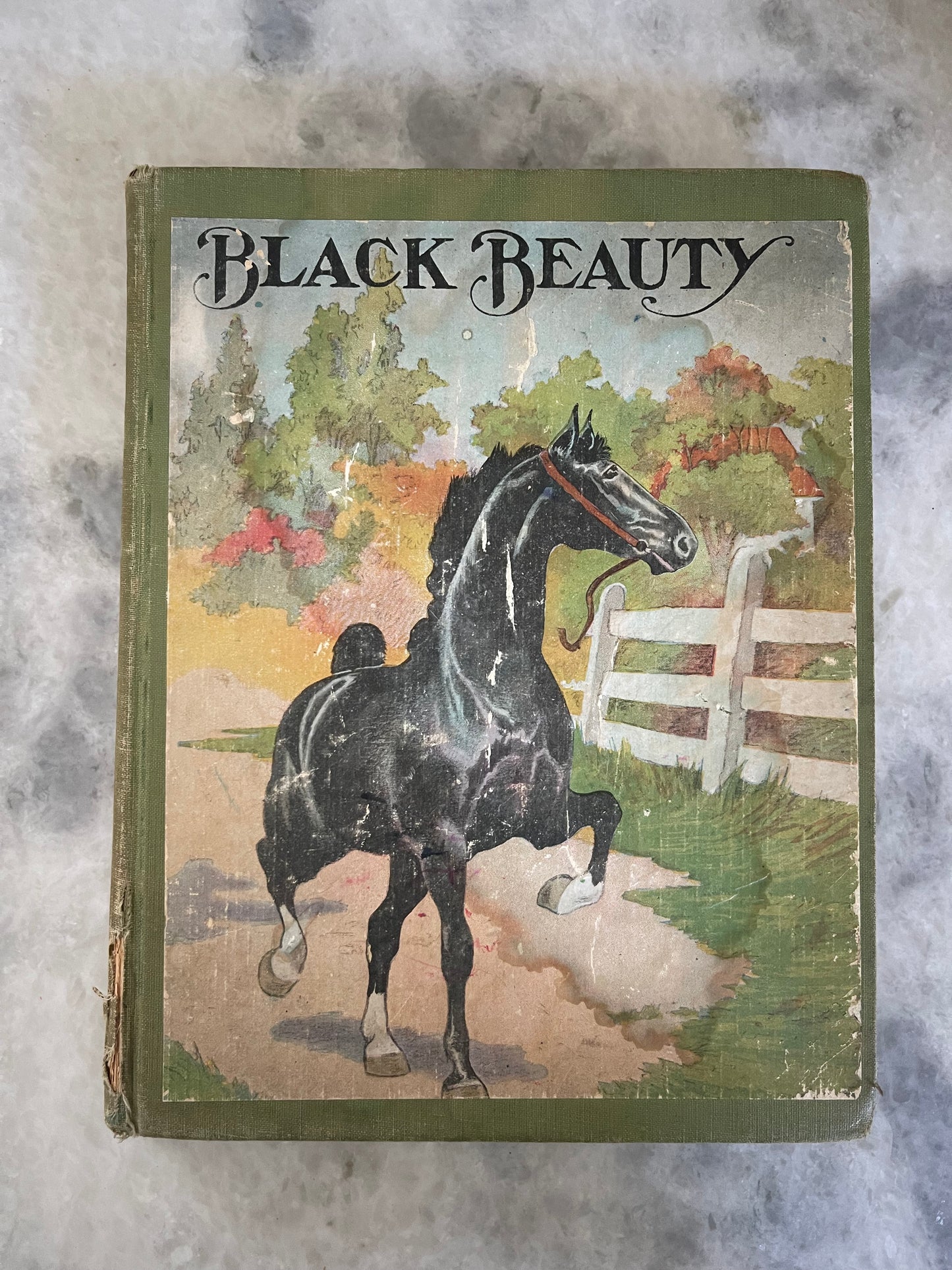 Black Beauty “Young Folks Edition” by Ana Sewell