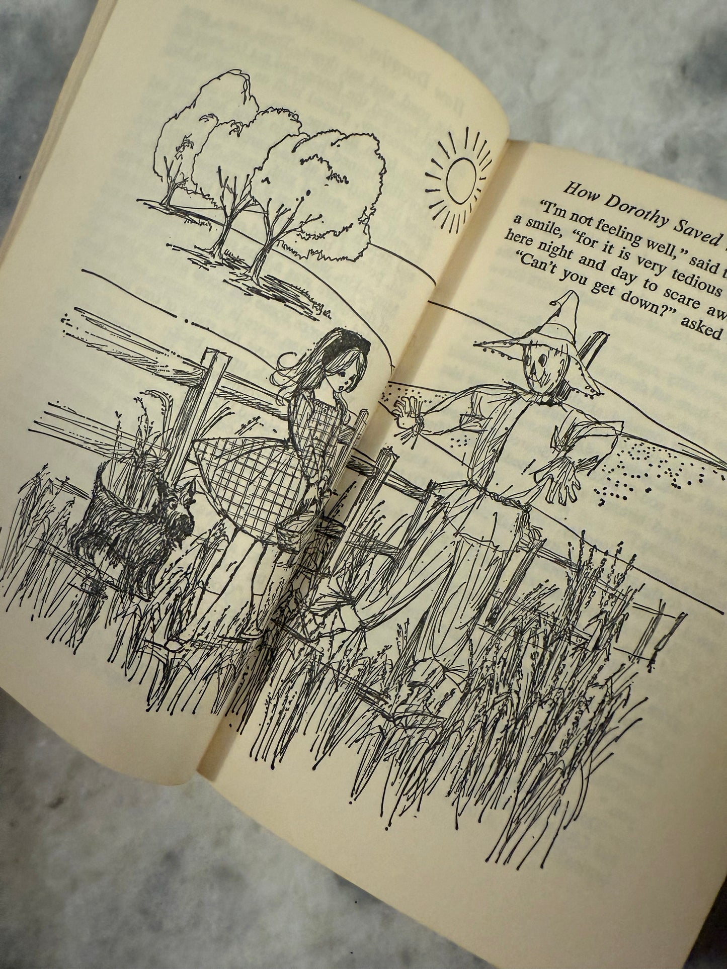 Collectible- Companion Library(1963)   “The Wizard of Oz” by L. Frank Baum“ & “The Jungle Book” by Rudyard Kipling