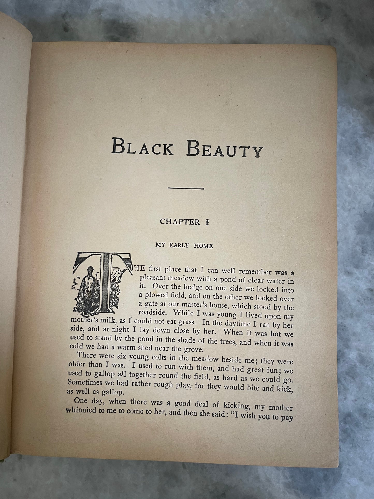 Black Beauty “Young Folks Edition” by Ana Sewell