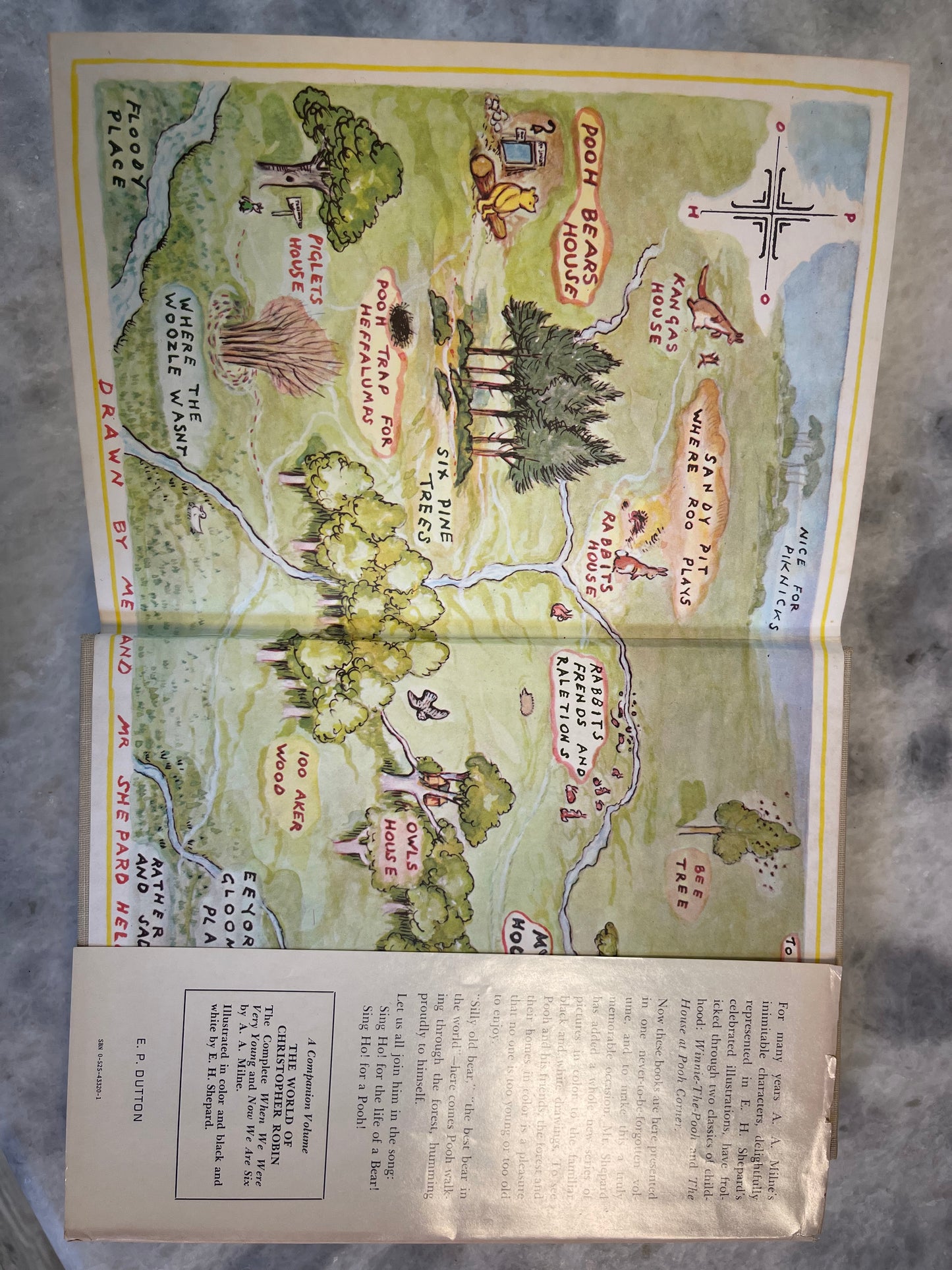 Rare Collectable 1956 Edition of The World of Pooh by A.A. Milne with color illustrations