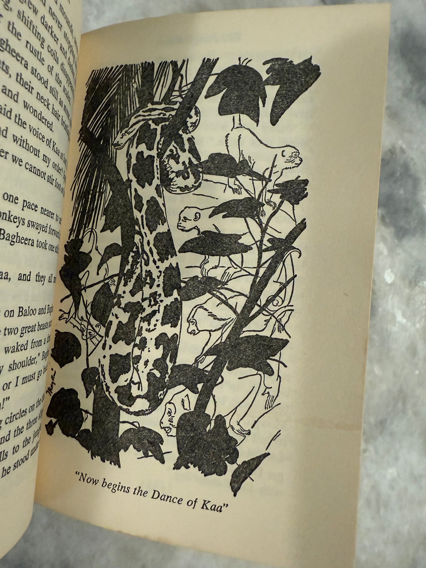 Collectible- Companion Library(1963)   “The Wizard of Oz” by L. Frank Baum“ & “The Jungle Book” by Rudyard Kipling