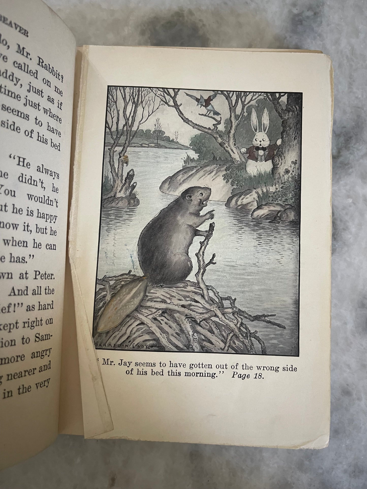 Collectible-1930 edition of Paddy The Beaver by Thornton W Burgess,  part of the “Bedtime Story-Books” Series