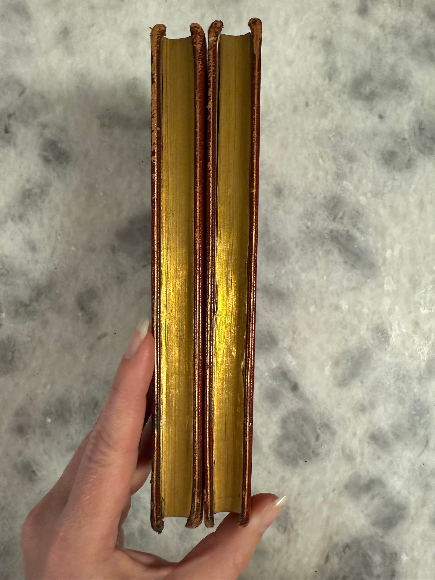 Scarce- 2 Volume set: Bucolica, Georgica, et Aeneis by Virgil (1795)