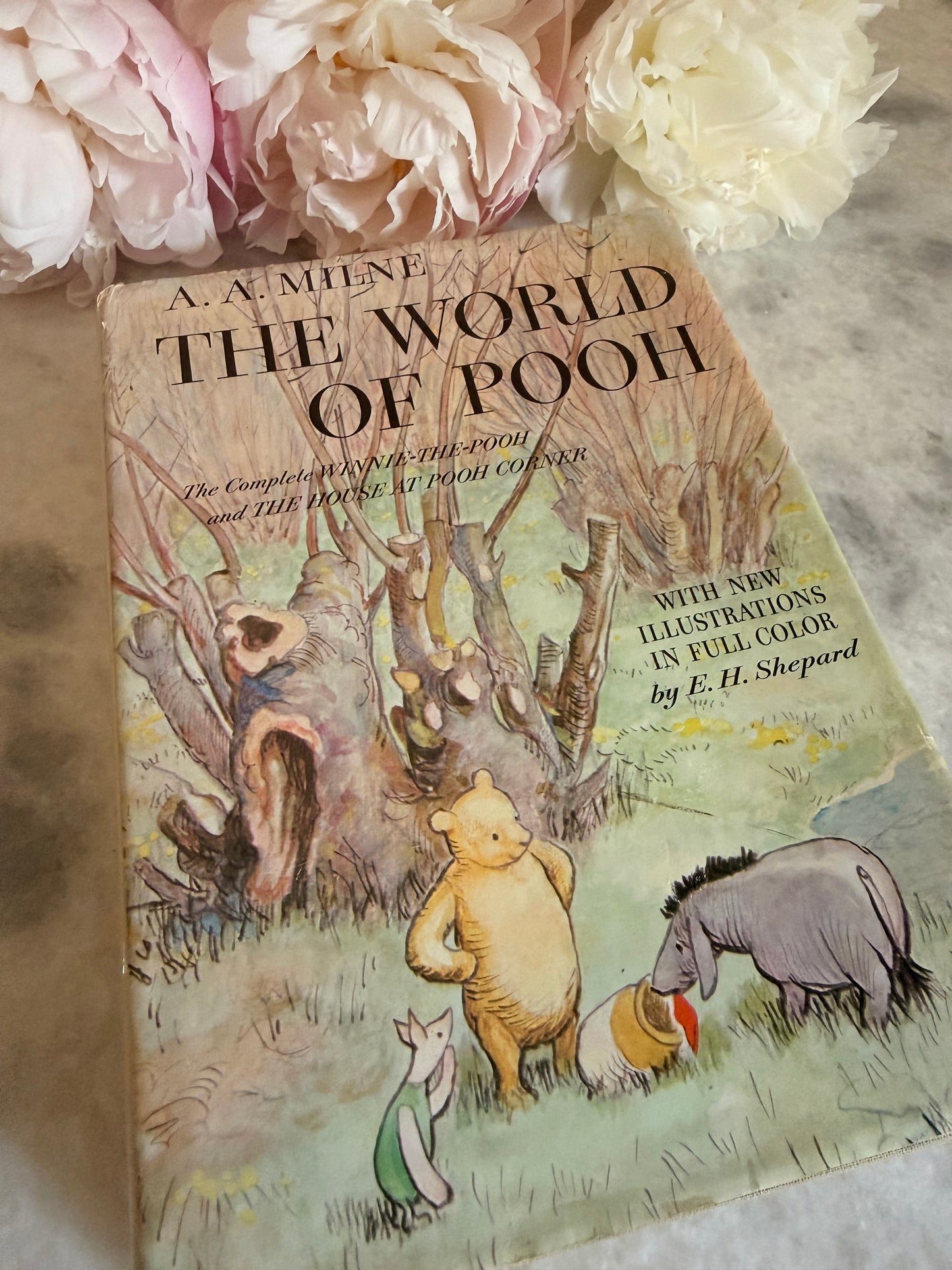 Rare Collectible- 1956 edition of The World of Pooh by A.A. Milne with color illustrations