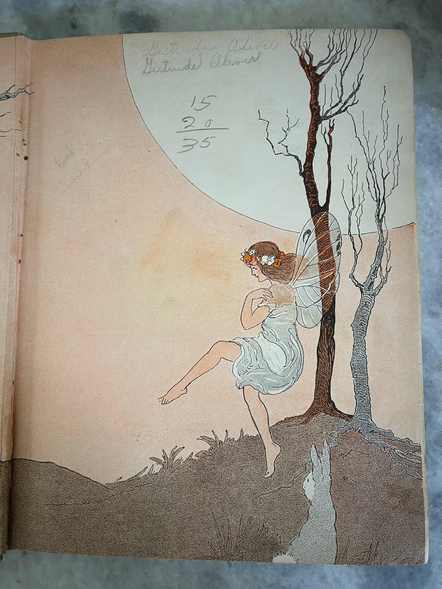 Black Beauty “Young Folks Edition” by Ana Sewell