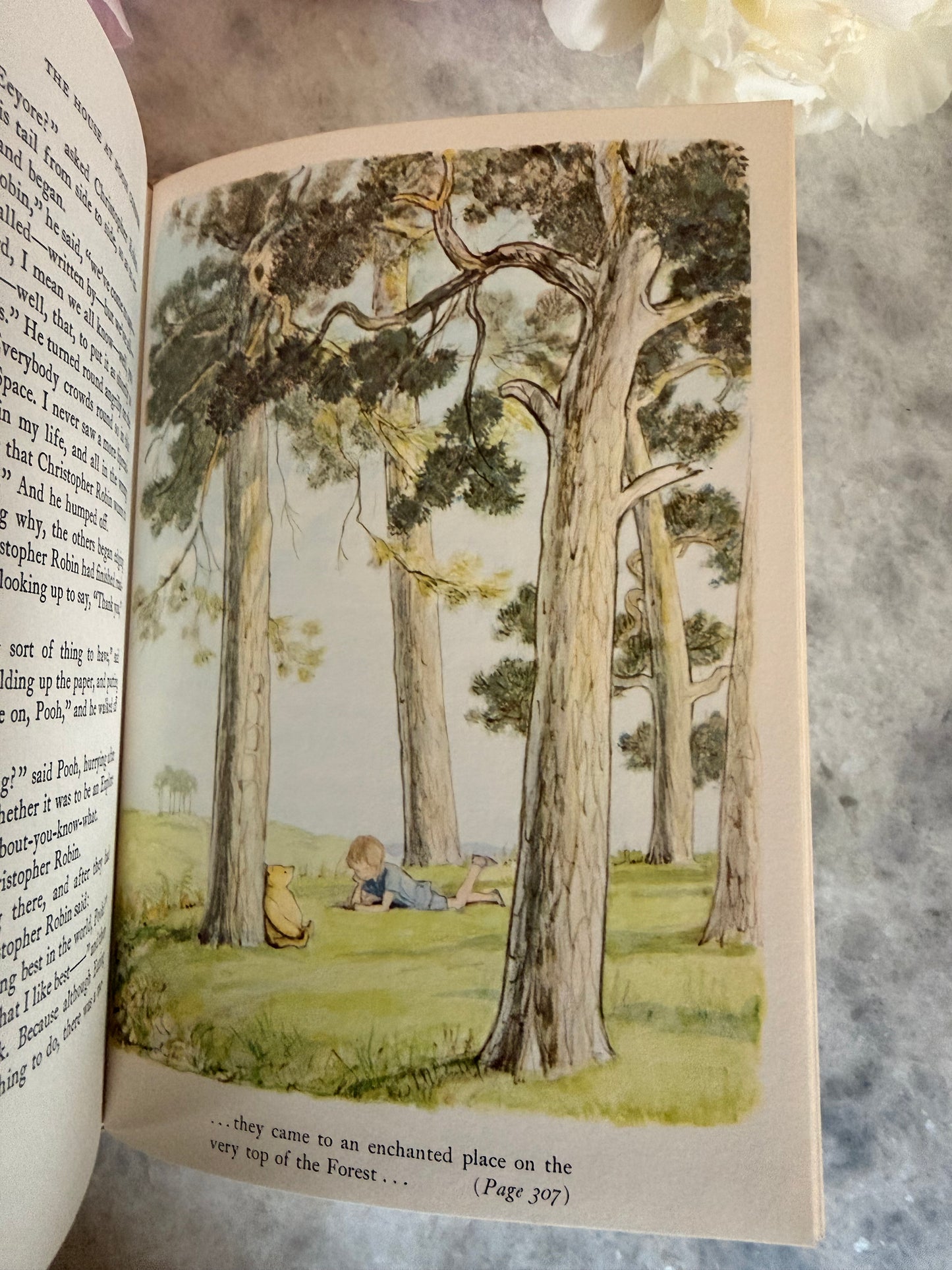 Rare Collectible- 1956 edition of The World of Pooh by A.A. Milne with color illustrations