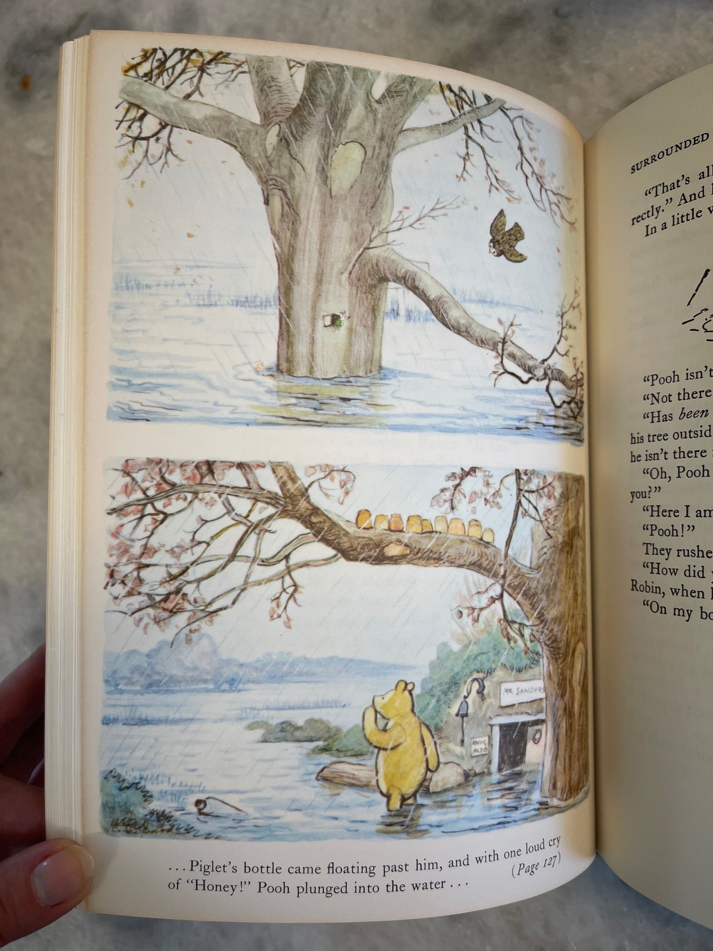 Rare Collectable 1956 Edition of The World of Pooh by A.A. Milne with color illustrations