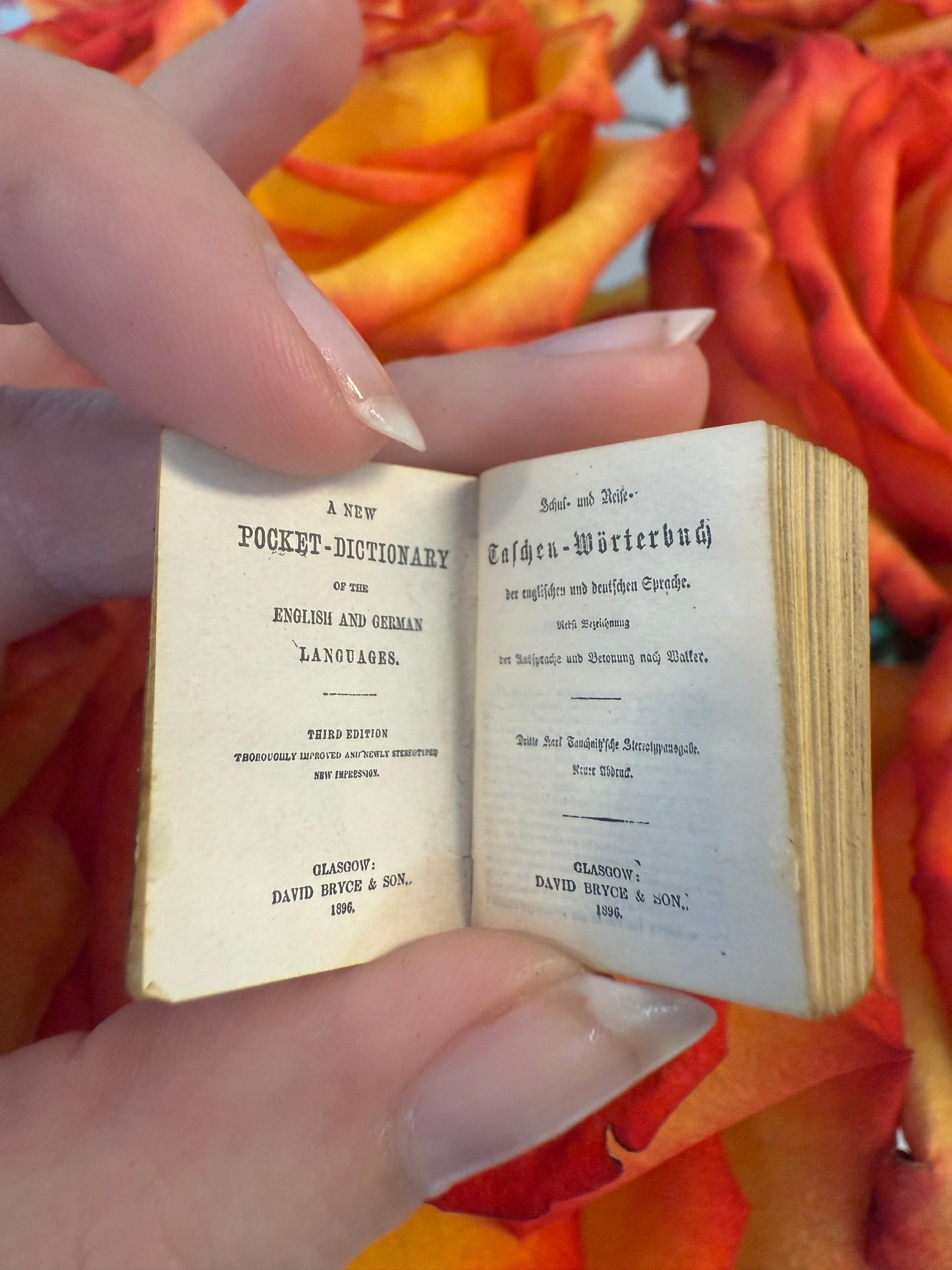 Scarce- German-English dictionary (1896) published by David Bryce & Son in Glasgow
