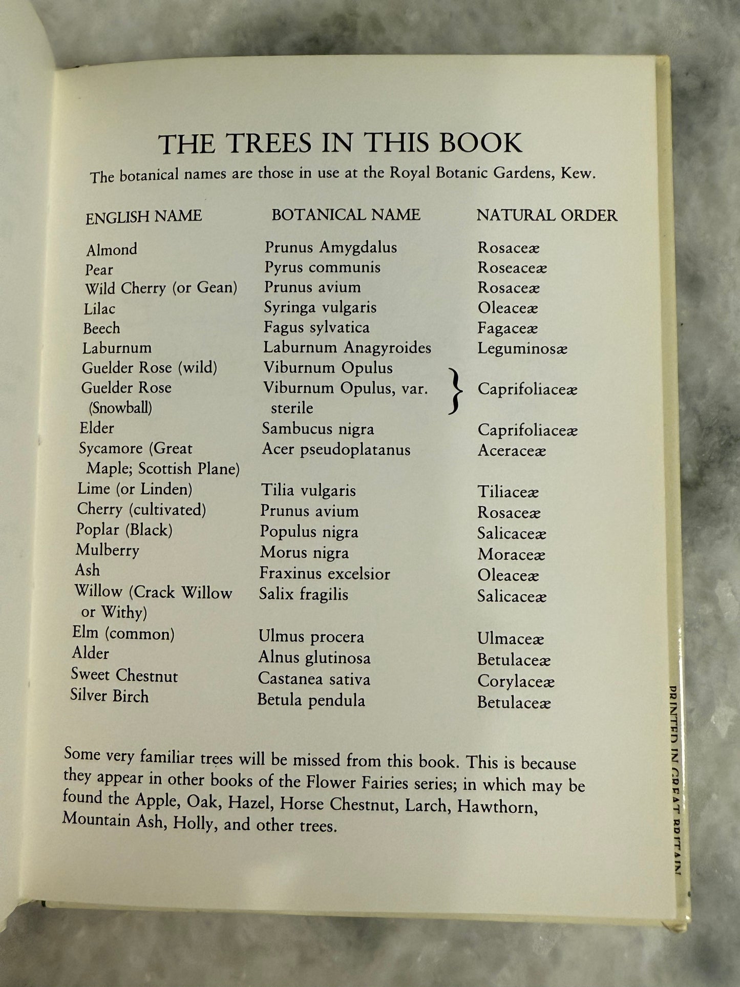 Collectible- Flower Fairies of The Trees by Cicely Mary Barker (1990)