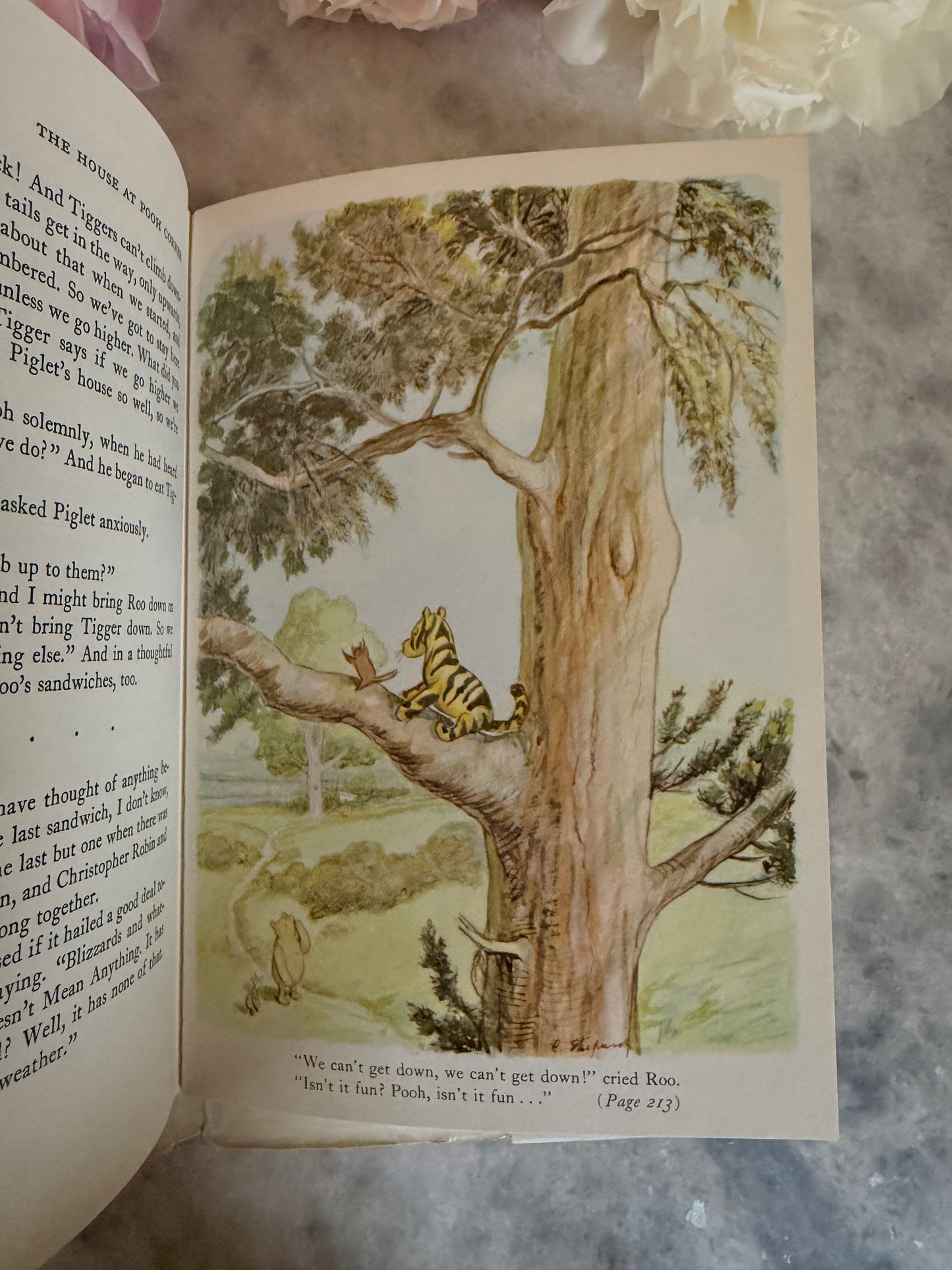 Rare Collectible- 1956 edition of The World of Pooh by A.A. Milne with color illustrations