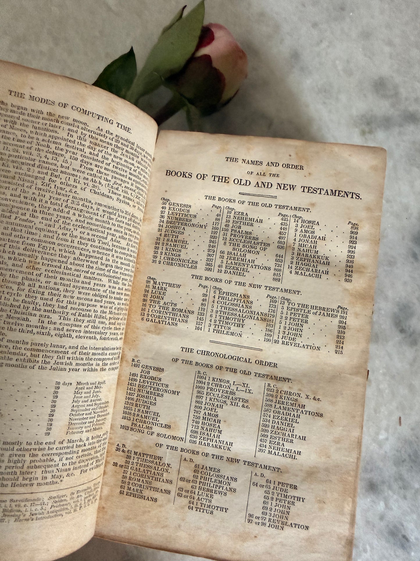 Collectible-1834 Coit’s Arrangement